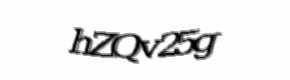 Security check image, please type the characters shown