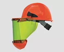 <p>The risk of head injury can be found in many workplaces and jobsites. To help alleviate this risk, EIS provides Head Protection from top supplier <a href="/north-by-honeywell/c-bh203477">North by Honeywell</a>. These hard hats are made from polyet…