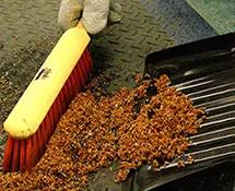 A wide variety of tools to help you clean up floors, work surfaces, and spills. We offer brooms, brushes, mops, squeegees, and more, in animal, natural and synthetic fill materials. Handle types and sizes vary so you can find the perfect tool for you…