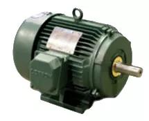 <p>Severe Duty Motors are our toughest <a href="/electric-motors-bearings-parts-electric-motors/c-ph2315">electrical motors</a>. Designed to handle the most strenuous of tasks in industrial settings such as chemical plants, foundries, mills, above-gr…