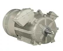 <p>Medium Voltage Motors are <a href="/electric-motors-bearings-parts-electric-motors/c-ph2315">electrical motors</a> that operate at voltages from 600 V-69kV. These motors feature totally enclosed fans that are ideal for operation in harsh environme…