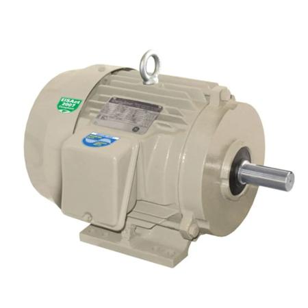 <p>Severe Duty Motors are our toughest <a href="/electric-motors-bearings-parts-electric-motors/c-ph2315">electrical motors</a>. Designed to handle the most strenuous of tasks in industrial settings such as chemical plants, foundries, mills, above-gr…