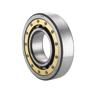 The image shown is representative of the product family and may not specifically be the individual item.  NU219RC3 -Cylindrical Roller Bearing