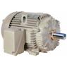 GE Motors-Severe Duty Motors-PH23-GE-X$DU841-460-CFAF-TEFC-ESDM-Images