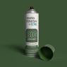 Reiter Green motoFINISH Acrylic Enamel spray can by EIS, labeled 'BIG REITER GREEN', standing on a matching green background with the cap removed.
